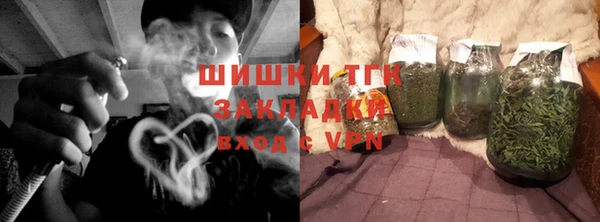 сатива Гусев