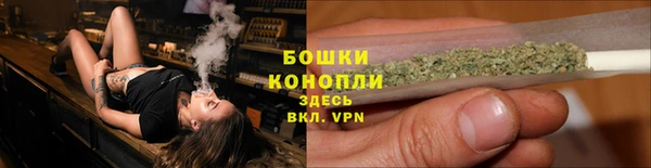 сатива Гусев