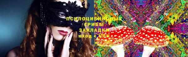 2c-b Кукмор