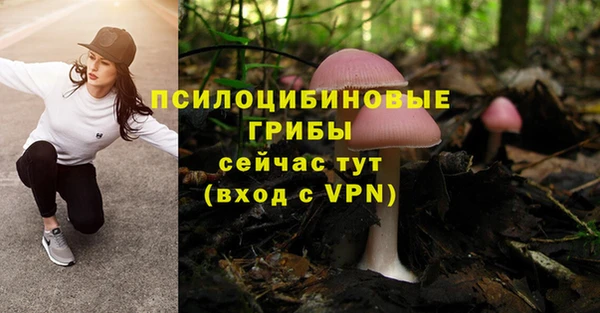 трава Гусь-Хрустальный