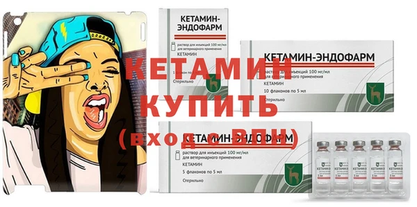 трава Гусь-Хрустальный