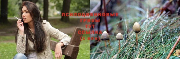 эйфоретик Гусиноозёрск